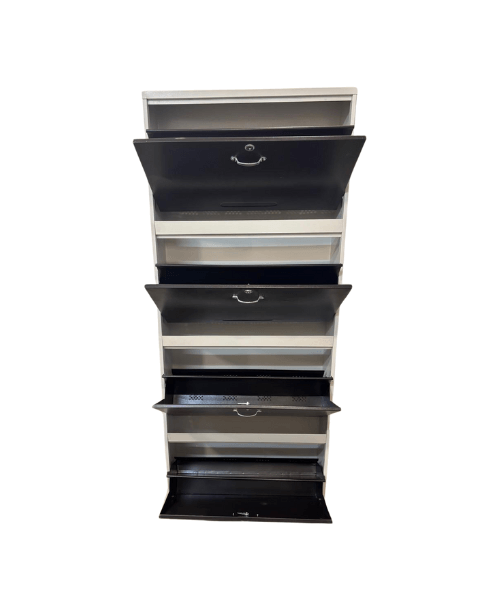   Wall Mounted Shoe Cabinet manufacturer in India