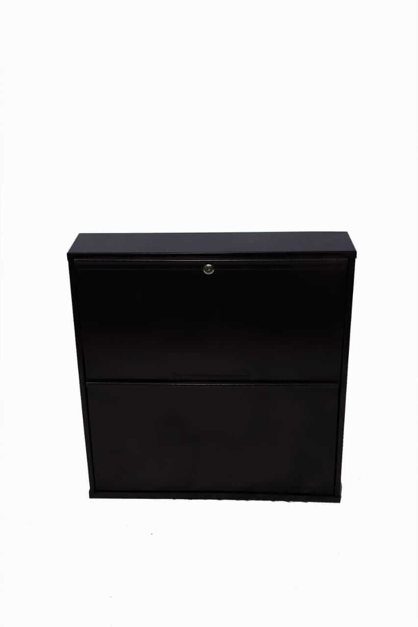   Wall Mounted Shoe Cabinet manufacturer in India
