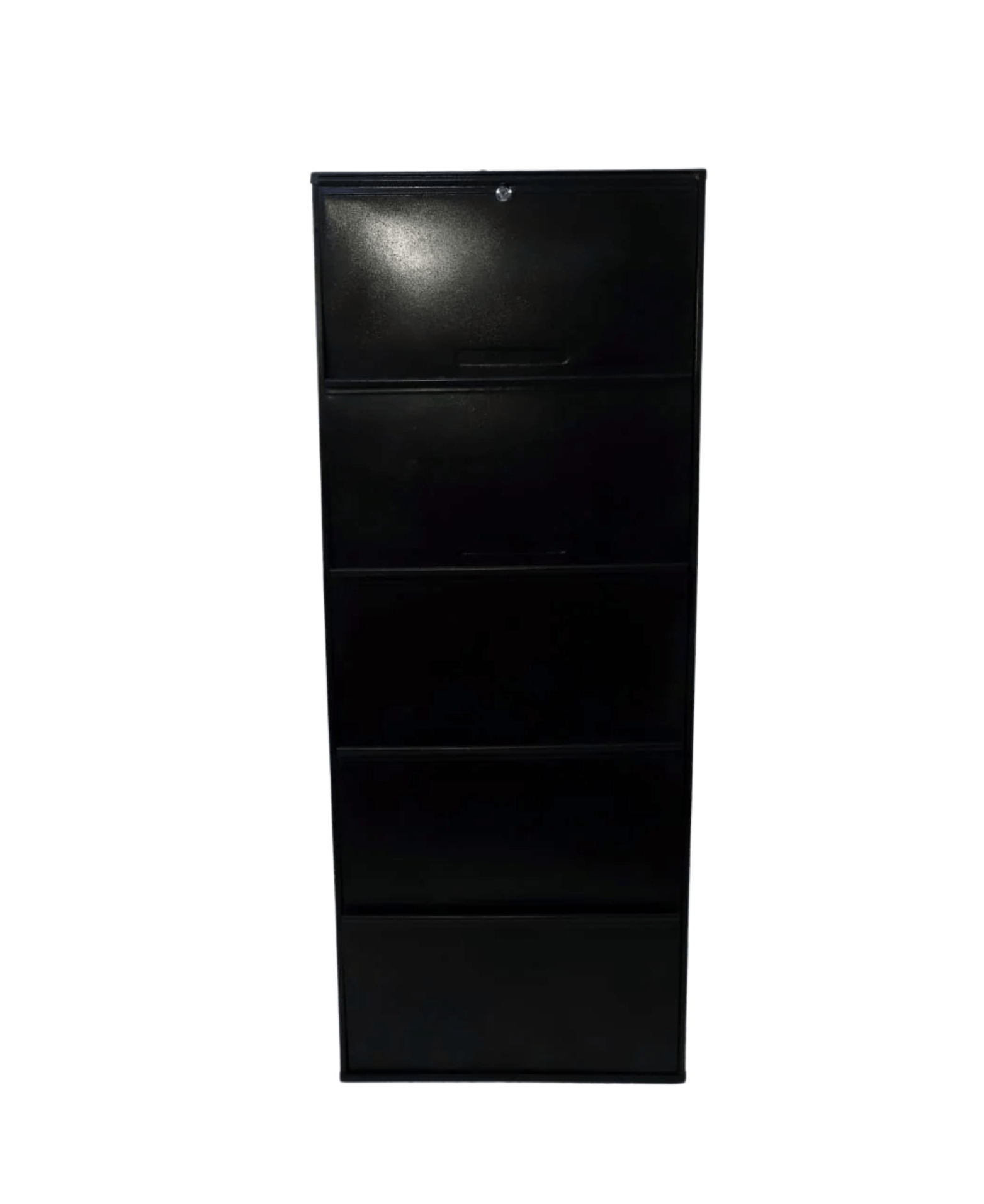   Wall Mounted Shoe Cabinet manufacturer in India